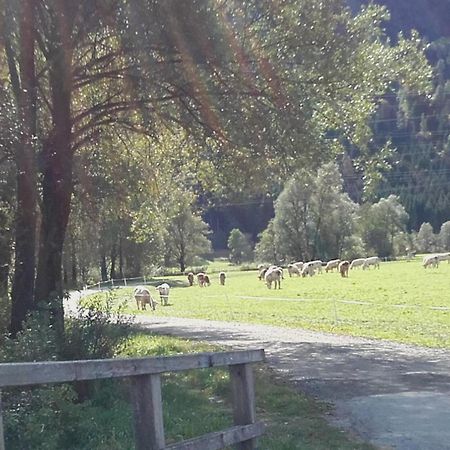 Die Buche Apartman Hermagor-Pressegger See Kültér fotó